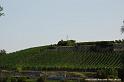 Rhin et Vieux-Brisach - 12 septembre 2009 (13)